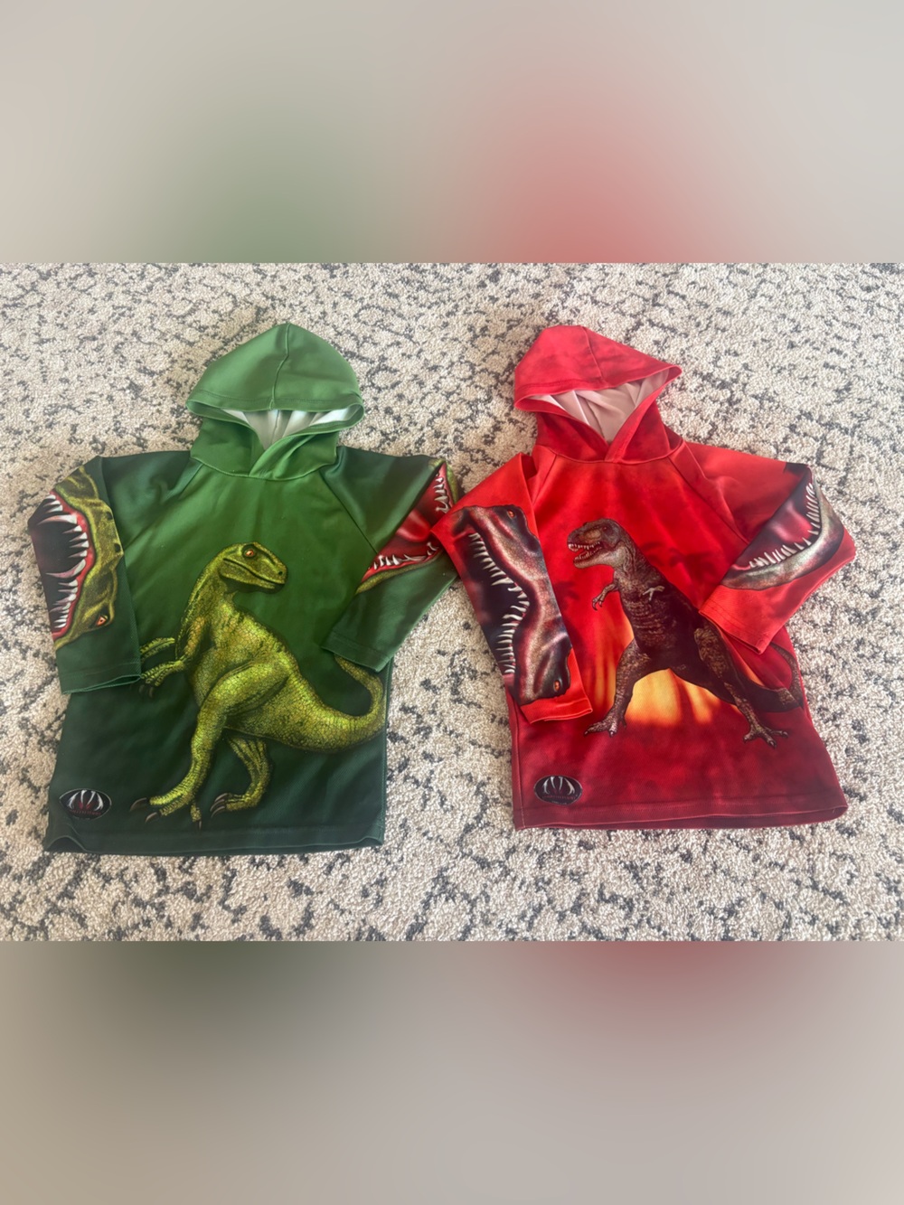 Kids Dinosaur pullover set of 2